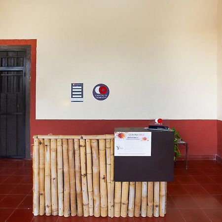 Capital O Hacienda Yunku Hotel, Yucatan Мерида Экстерьер фото